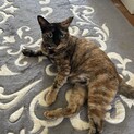 慣れたら甘えん坊さん