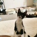 控えめで甘えん坊の男の子