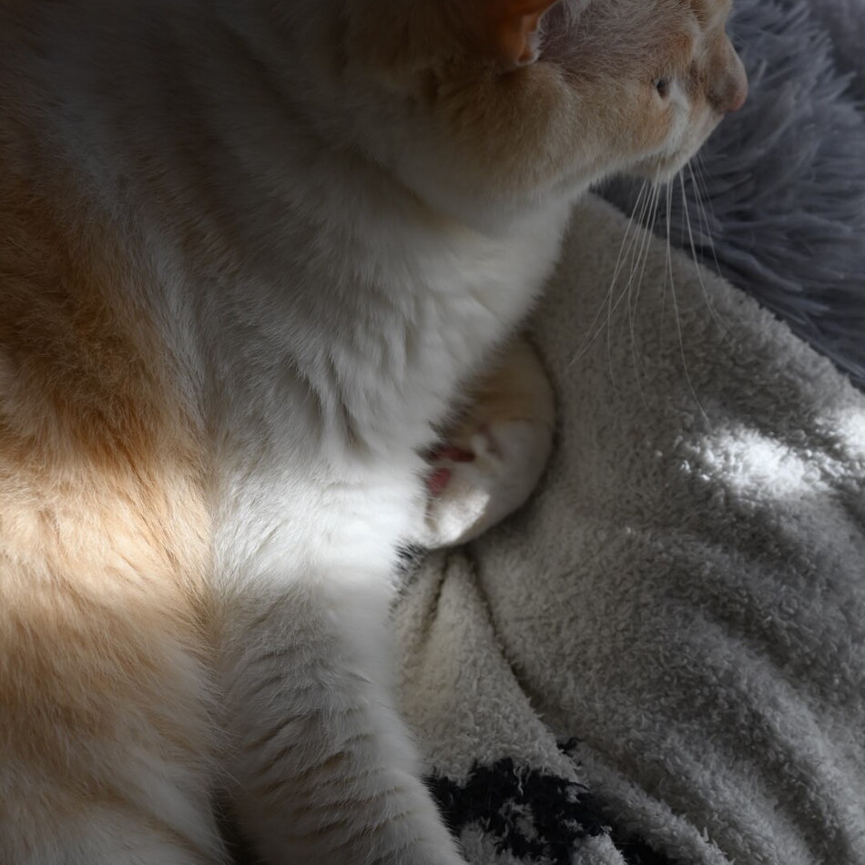 sol (ソル)のカバー写真