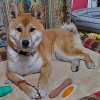らいあ