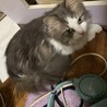 12歳おめでとう！