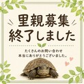 終了終了