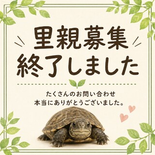終了終了