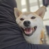 フレンドリーな女の子 サムネイル3
