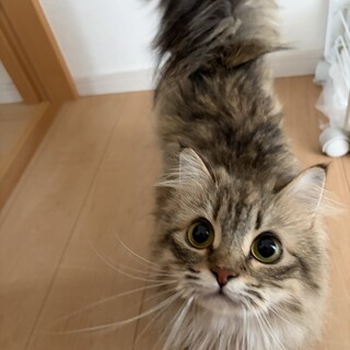 ご応募頂き本当にありがとうございました。