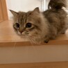 ご応募頂き本当にありがとうございました。 サムネイル2