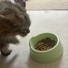 ご応募頂き本当にありがとうございました。 サムネイル3