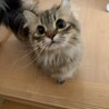 ご応募頂き本当にありがとうございました。 サムネイル4