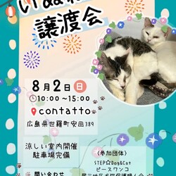 いぬねこ譲渡会