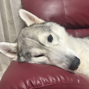 の写真