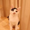 チロ♡ サムネイル1
