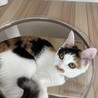 チロ♡ サムネイル3