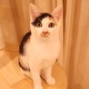 チロ♡ サムネイル4