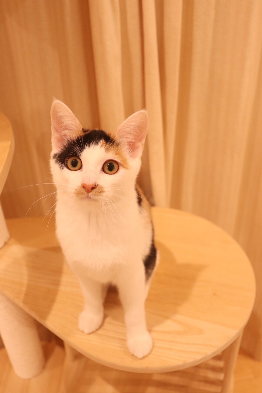 チロ♡ サムネイル5