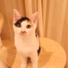 チロ♡ サムネイル5