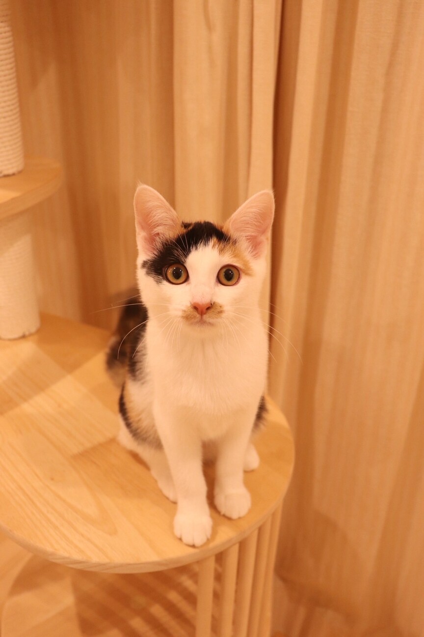 チロ♡ サムネイル6