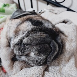 9歳と４ヶ月でした