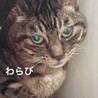 引越しにて急募。耳が聞こえませんが可愛い子 サムネイル2