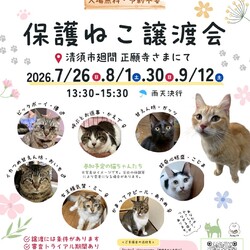 保護猫譲渡会