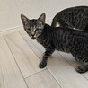 の写真