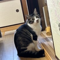 ムーちゃん