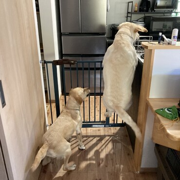 の写真