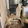 の写真