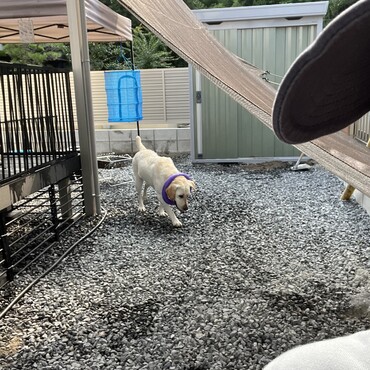 の写真