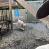 の写真