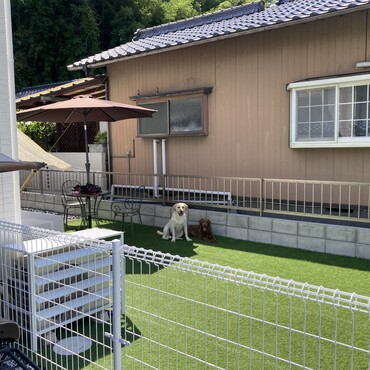 の写真