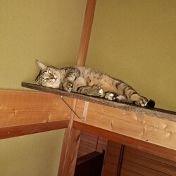姫＆殿、今年の夏は風があまり通らないネ