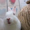 りょうた！