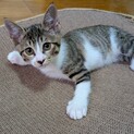 生後4ヶ月はなはとちゃん