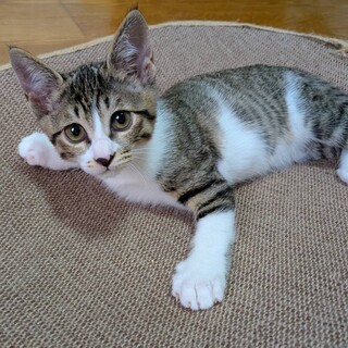 生後4ヶ月はなはとちゃん