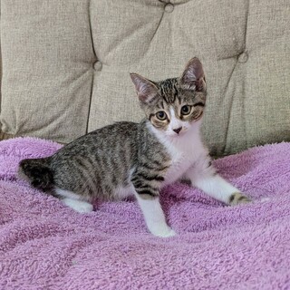 生後4ヶ月みわざくらちゃん