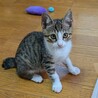 生後4ヶ月りゅうせいくん サムネイル2