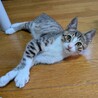 生後4ヶ月りゅうせいくん サムネイル3