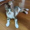生後4ヶ月りゅうせいくん サムネイル5