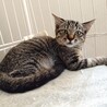 なでてくれるの待ってる♡“むぎた”君 サムネイル4