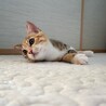 8/9高田馬場★小雨ちゃん★甘え上手girl サムネイル3