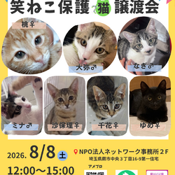 笑ねこ〜子猫だらけの譲渡会〜 サムネイル1
