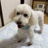 リッコ　ラッキー