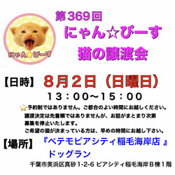 にゃん☆ぴーす猫の譲渡会【稲毛海岸/ペテモピアシティ稲毛海岸店』