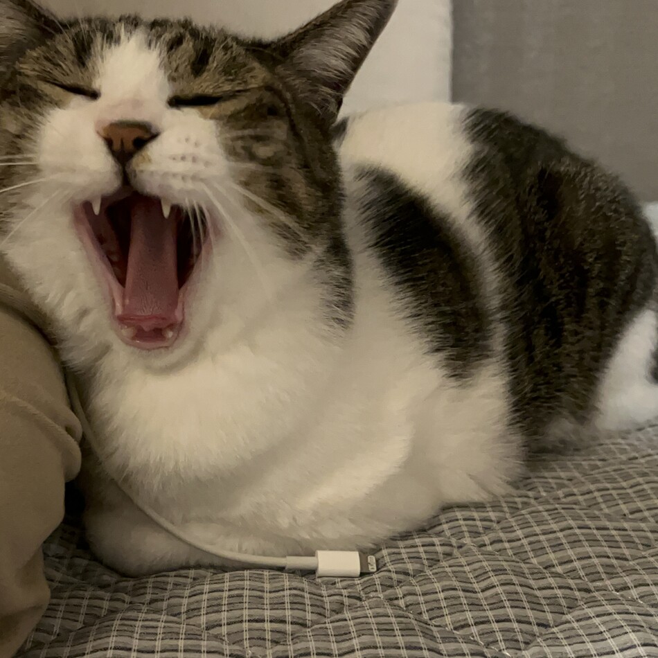 爽(そう)のカバー写真