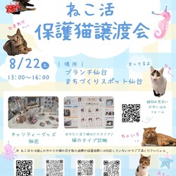 「様々なご報告」サムネイル2