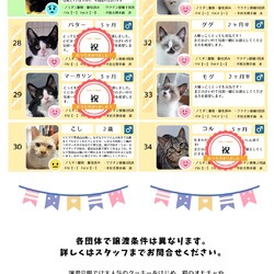 「7月26日ラブとハッピー府中 保護猫譲渡会ご報告」サムネイル3