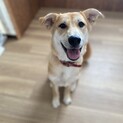 人が大好き