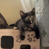 低体温から復活！一番元気なビビちゃん︎ 3カ月 サムネイル6