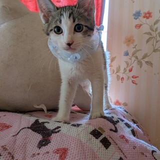 活発な性格の太陽くん