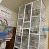やまだひろあき